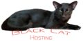 Black Cat Hosting 2026 Logo